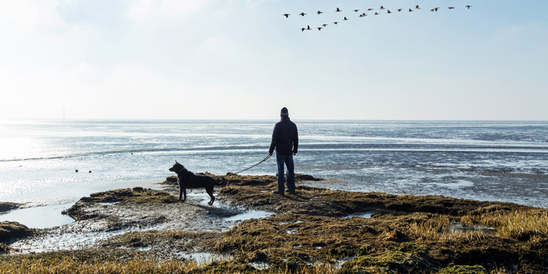 Insel Amrum Nordsee - Ferienwohnung mit Hund