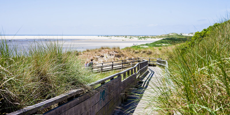 Urlaub Amrum Ferienhaus